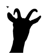 Curious Goat General Store